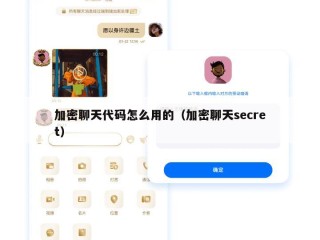 加密聊天代码怎么用的（加密聊天secret）