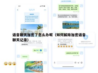 语音聊天加密了怎么办呢（如何解除加密语音聊天记录）