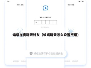蝙蝠加密聊天好友（蝙蝠聊天怎么设置密语）