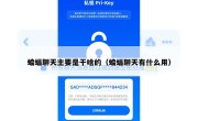 蝙蝠聊天主要是干啥的（蝙蝠聊天有什么用）