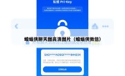 蝙蝠侠聊天图高清图片（蝙蝠侠微信）