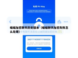 蝙蝠加密聊天历史版本（蝙蝠聊天加密失败怎么处理）