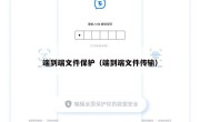 端到端文件保护（端到端文件传输）