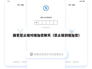 国家禁止端对端加密聊天（禁止端到端加密）