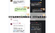 钉钉加密聊天在哪里显示（钉钉加密消息）