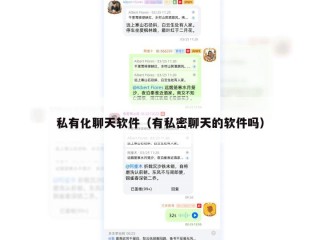 私有化聊天软件（有私密聊天的软件吗）