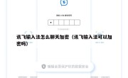 讯飞输入法怎么聊天加密（讯飞输入法可以加密吗）