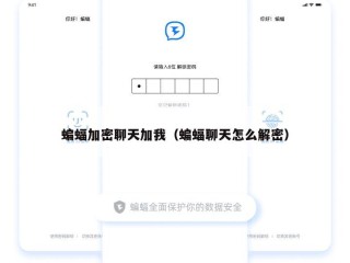 蝙蝠加密聊天加我（蝙蝠聊天怎么解密）