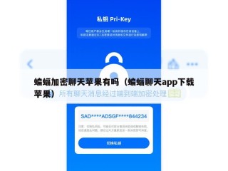 蝙蝠加密聊天苹果有吗（蝙蝠聊天app下载苹果）