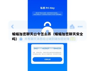 蝙蝠加密聊天口令怎么弄（蝙蝠加密聊天安全吗）
