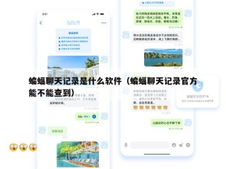 蝙蝠聊天记录是什么软件（蝙蝠聊天记录官方能不能查到）