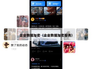 企业数据加密（企业数据加密服务）