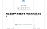 蝙蝠加密聊天界面在哪里（蝙蝠聊天怎么加密）