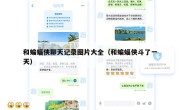 和蝙蝠侠聊天记录图片大全（和蝙蝠侠斗了一天）