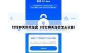 钉钉聊天如何加密（钉钉聊天加密怎么设置）