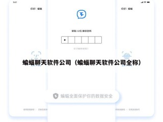 蝙蝠聊天软件公司（蝙蝠聊天软件公司全称）