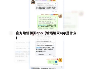 官方蝙蝠聊天app（蝙蝠聊天app是什么）