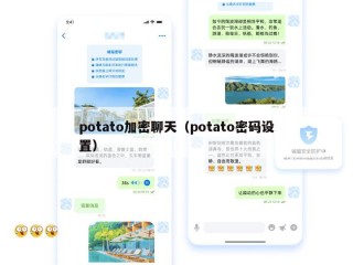 potato加密聊天（potato密码设置）