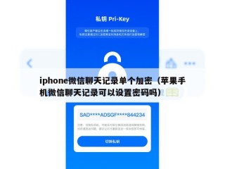 iphone微信聊天记录单个加密（苹果手机微信聊天记录可以设置密码吗）