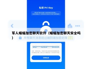 军人蝙蝠加密聊天软件（蝙蝠加密聊天安全吗）