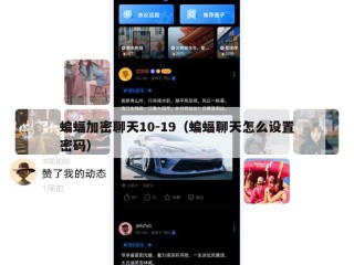 蝙蝠加密聊天10-19（蝙蝠聊天怎么设置密码）