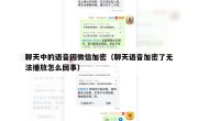 聊天中的语音因微信加密（聊天语音加密了无法播放怎么回事）