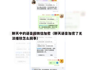 聊天中的语音因微信加密（聊天语音加密了无法播放怎么回事）
