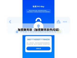 加密聊天软（加密聊天软件闪话）