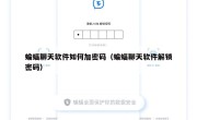 蝙蝠聊天软件如何加密码（蝙蝠聊天软件解锁密码）