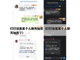 钉钉设置某个人聊天加密（钉钉设置某个人聊天加密了）