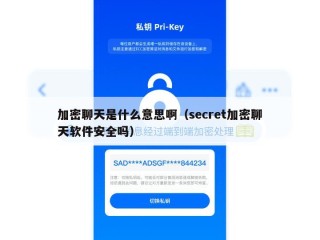 加密聊天是什么意思啊（secret加密聊天软件安全吗）