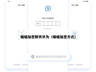 蝙蝠加密聊天华为（蝙蝠加密方式）