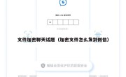 文件加密聊天话题（加密文件怎么发到微信）