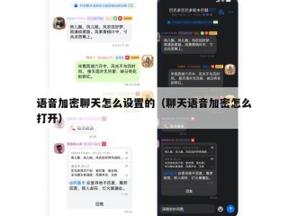 语音加密聊天怎么设置的（聊天语音加密怎么打开）