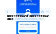 蝙蝠如何观看聊天记录（蝙蝠如何观看聊天记录图片）