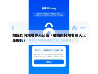 蝙蝠如何观看聊天记录（蝙蝠如何观看聊天记录图片）