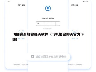 飞机安全加密聊天软件（飞机加密聊天官方下载）