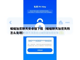 蝙蝠加密聊天安卓版下载（蝙蝠聊天加密失败怎么处理）