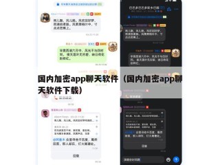 国内加密app聊天软件（国内加密app聊天软件下载）