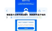 蝙蝠是什么聊天类型图片（蝙蝠聊天是干啥的）