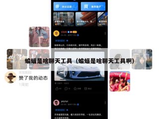 蝙蝠是啥聊天工具（蝙蝠是啥聊天工具啊）