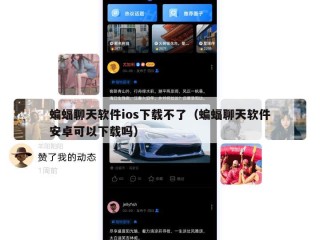 蝙蝠聊天软件ios下载不了（蝙蝠聊天软件安卓可以下载吗）
