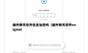 国外聊天软件信息加密吗（国外聊天软件enigma）
