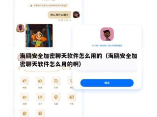 海鸥安全加密聊天软件怎么用的（海鸥安全加密聊天软件怎么用的啊）
