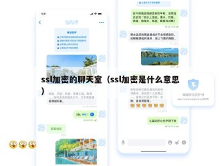 ssl加密的聊天室（ssl加密是什么意思）