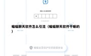 蝙蝠聊天软件怎么引流（蝙蝠聊天软件干嘛的）