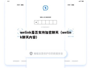 welink是否支持加密聊天（welink聊天内容）