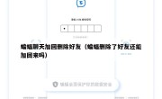 蝙蝠聊天加回删除好友（蝙蝠删除了好友还能加回来吗）