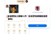 企业密信上被骗11万（企业密信被骗能追回来吗）