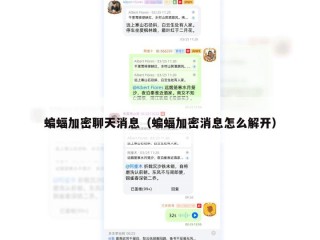 蝙蝠加密聊天消息（蝙蝠加密消息怎么解开）